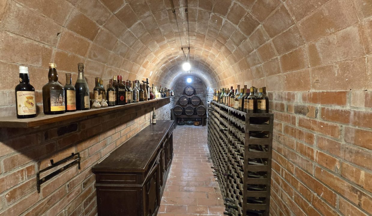 2d38b588-8843-4f21-9106-5bd5543ee537