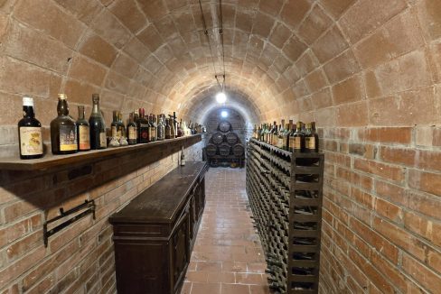 2d38b588-8843-4f21-9106-5bd5543ee537